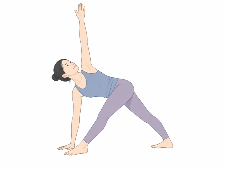 ねじった三角のポーズ（Revolved Triangle Pose）のYogaTown教材イラスト
