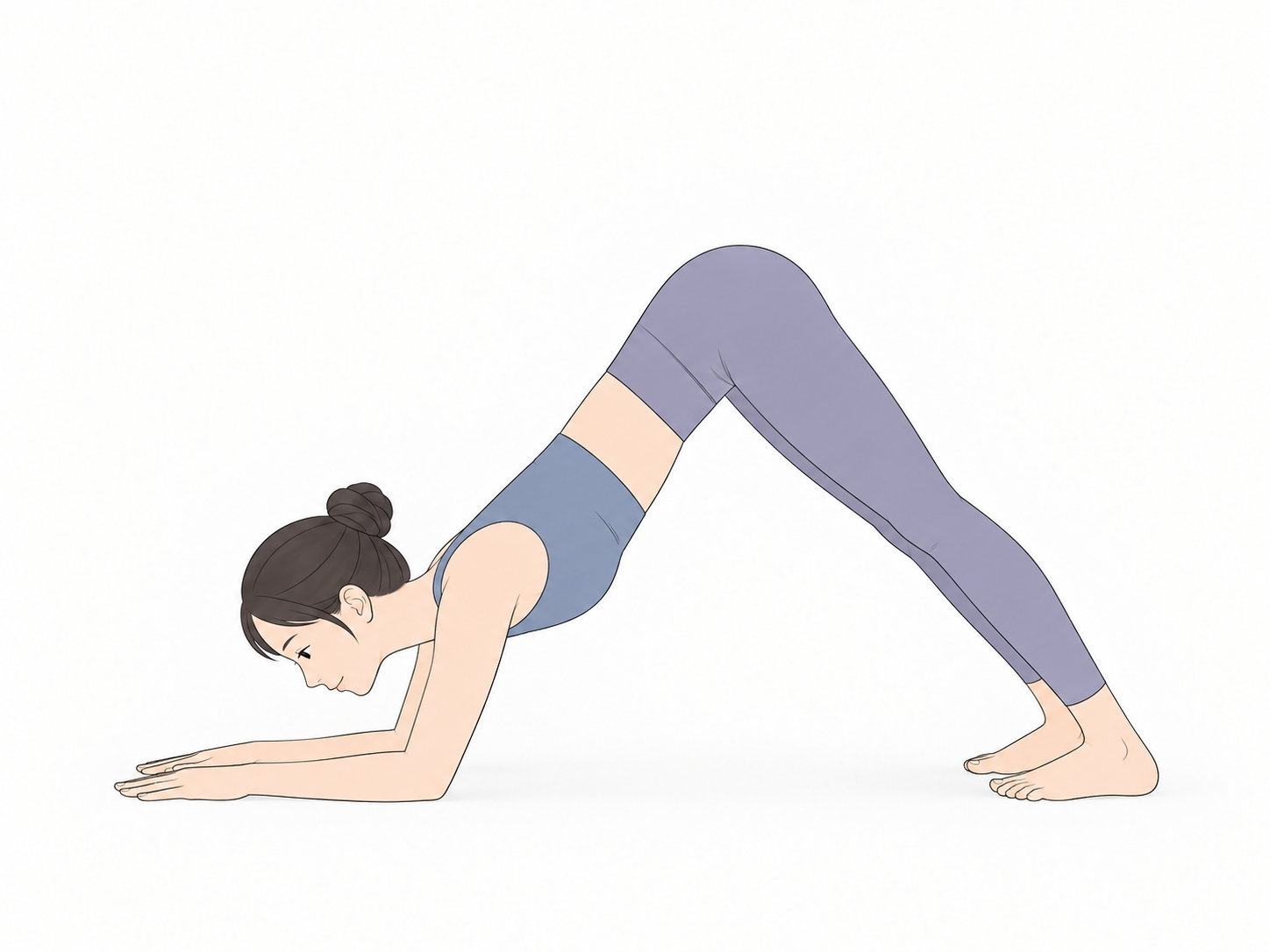 イルカのポーズ(Dolphin Pose)のYogaTown教材イラスト