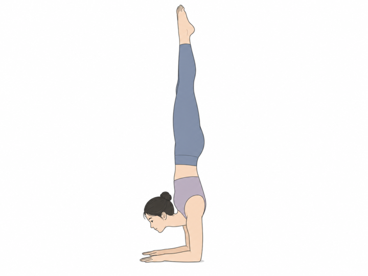 前腕倒立（Forearm Stand）のYogaTown教材イラスト