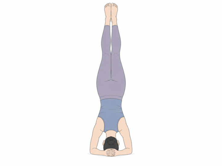 頭立ちのポーズ（Supported Headstand）のYogaTown教材イラスト