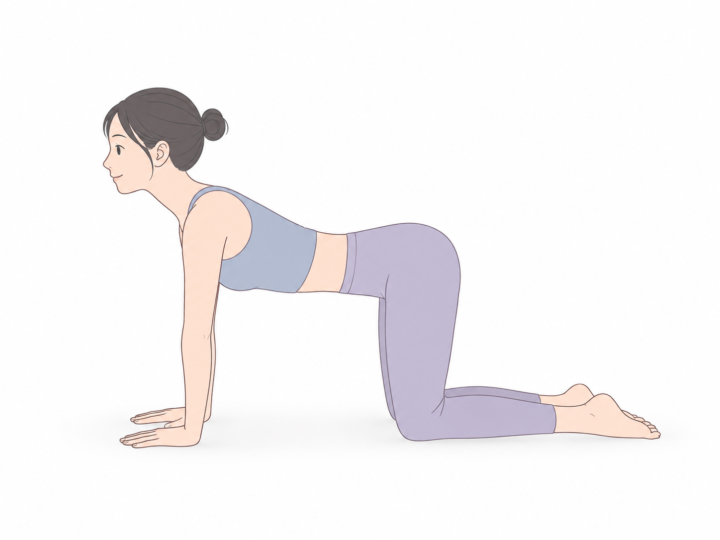 テーブルのポーズ（Tabletop Pose）のYogaTown教材イラスト