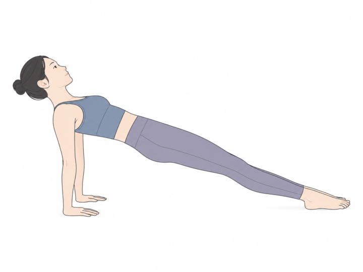 上向きの板のポーズ（Upward Plank Pose）のYogaTown教材イラスト