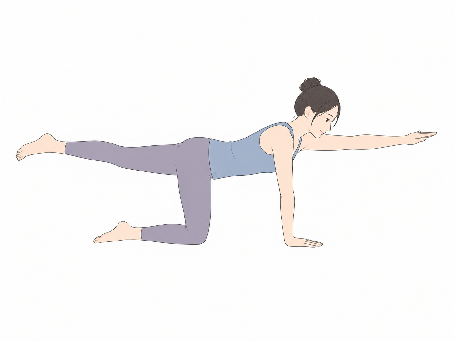 バードドッグ(Bird Dog Pose)のYogaTown教材イラスト
